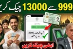 9999 Online Check 13,000 CNIC Pakistan Ramzan Package 2026