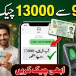 9999 Online Check 13,000 CNIC Pakistan Ramzan Package 2026