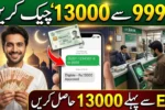 9999 Online Check for Payment Re-Verification 13000