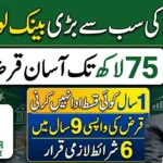 PM Youth Loan Scheme 2026 – Complete Guide for Business & Agriculture Financing in Pakistan